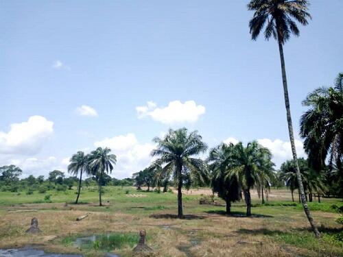 Joli paysage en pays Akaselem