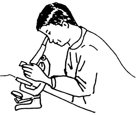 Recherches linguistique Recherches linguistique